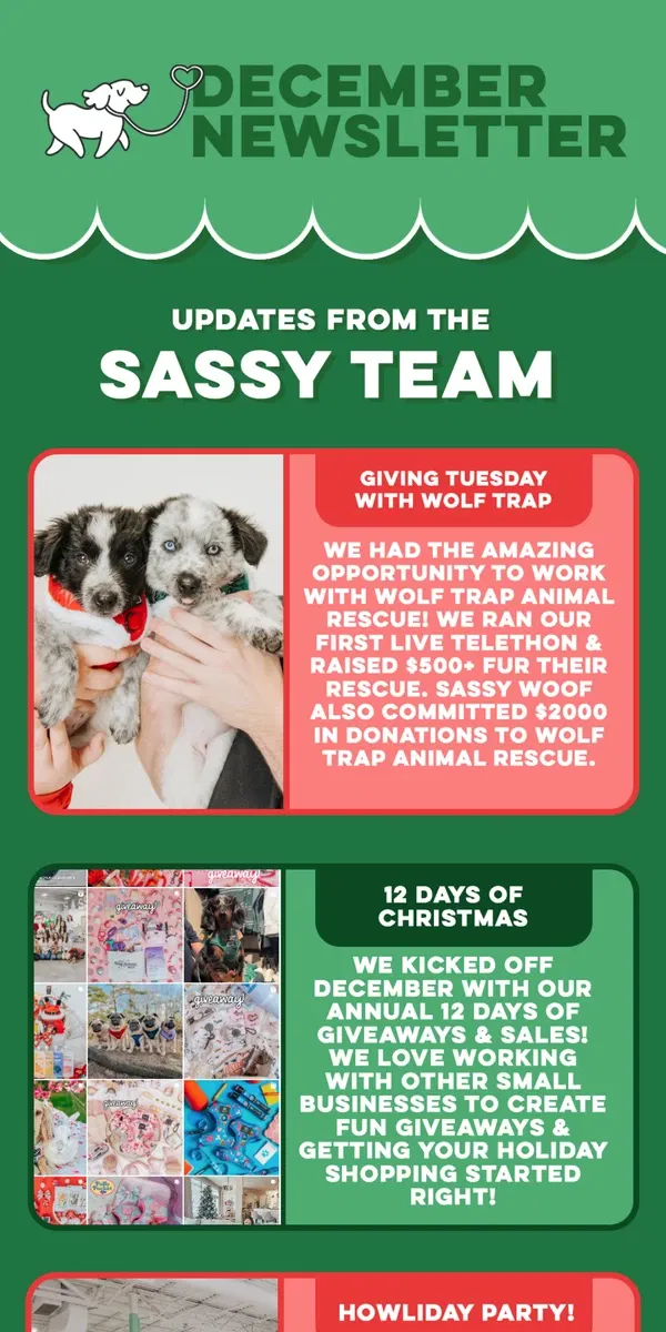 Email from Sassy Woof. December Newsletter 🗞️