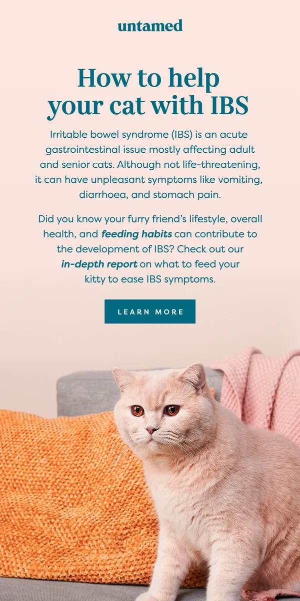 Email from Untamed Cat Food. Could cat food help your cat’s IBS?