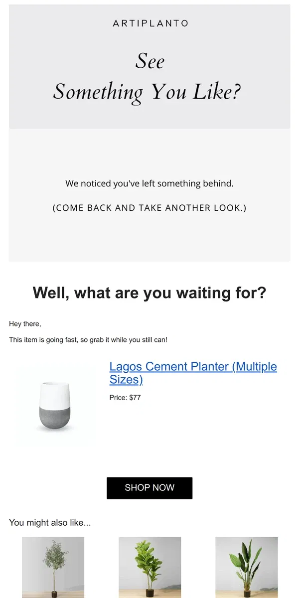 Email from Artiplanto. ⌛️ Your items are waiting