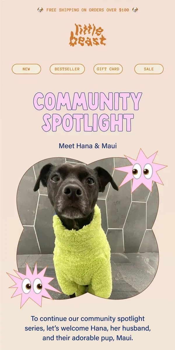 Email from Little Beast. Community Spotlight: Meet Hana & Maui