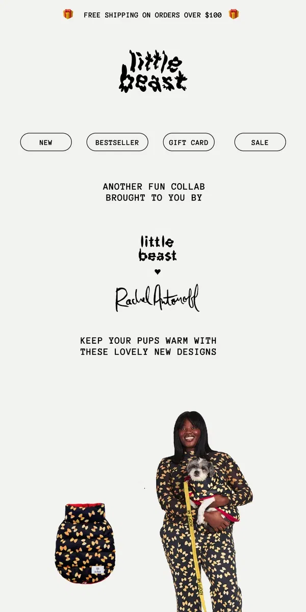 Email from Little Beast. A new fun collab by Rachel Antonoff x Little Beast