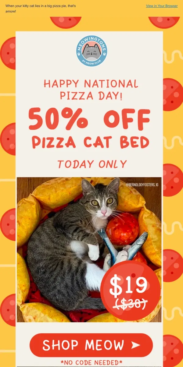 Email from Meowingtons. Happy National Pizza Day 🍕 50% OFF!