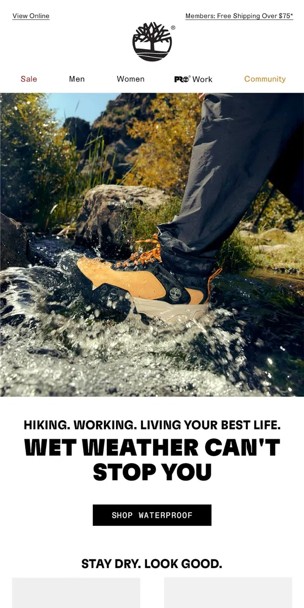 Email from Timberland. The Waterproof Collection: Ready For Rain.