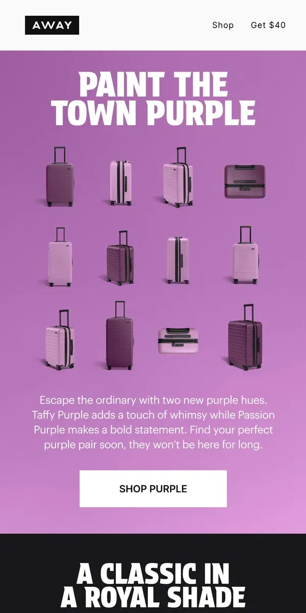 Email from Away. You asked, we delivered. Purple is here 💜