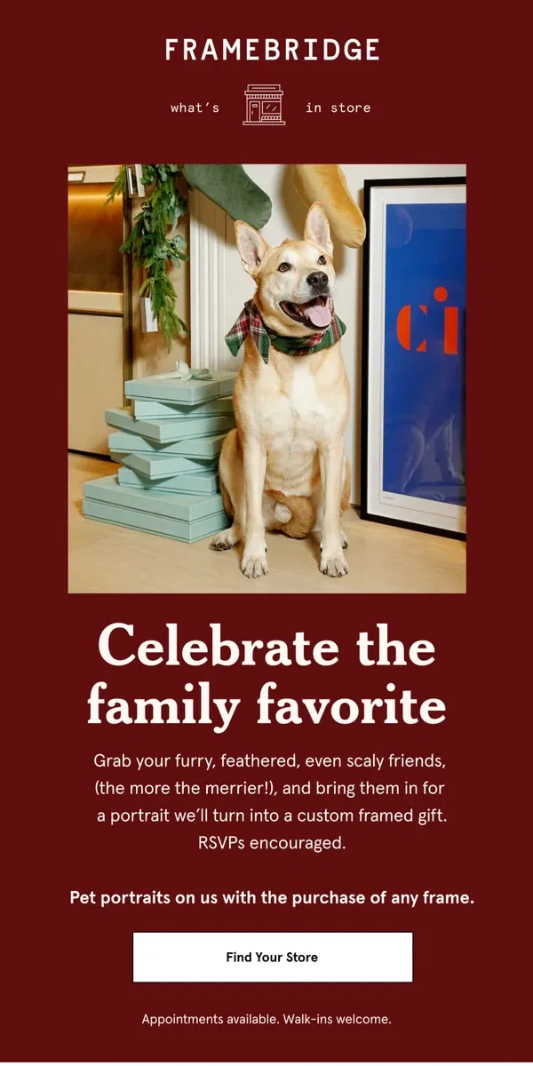 Email from Framebridge. Reminder! Pet portraits in stores this weekend