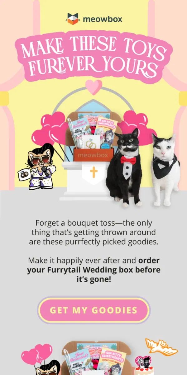 Email from meowbox. Here comes the cat happiness 🔔🎊🕊️