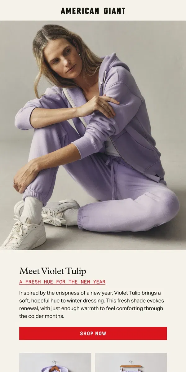 Email from American Giant. Hello, Violet Tulip