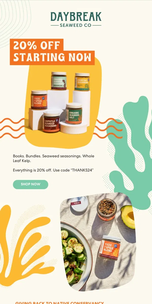 Email from Daybreak Seaweed. Everything is 20% off