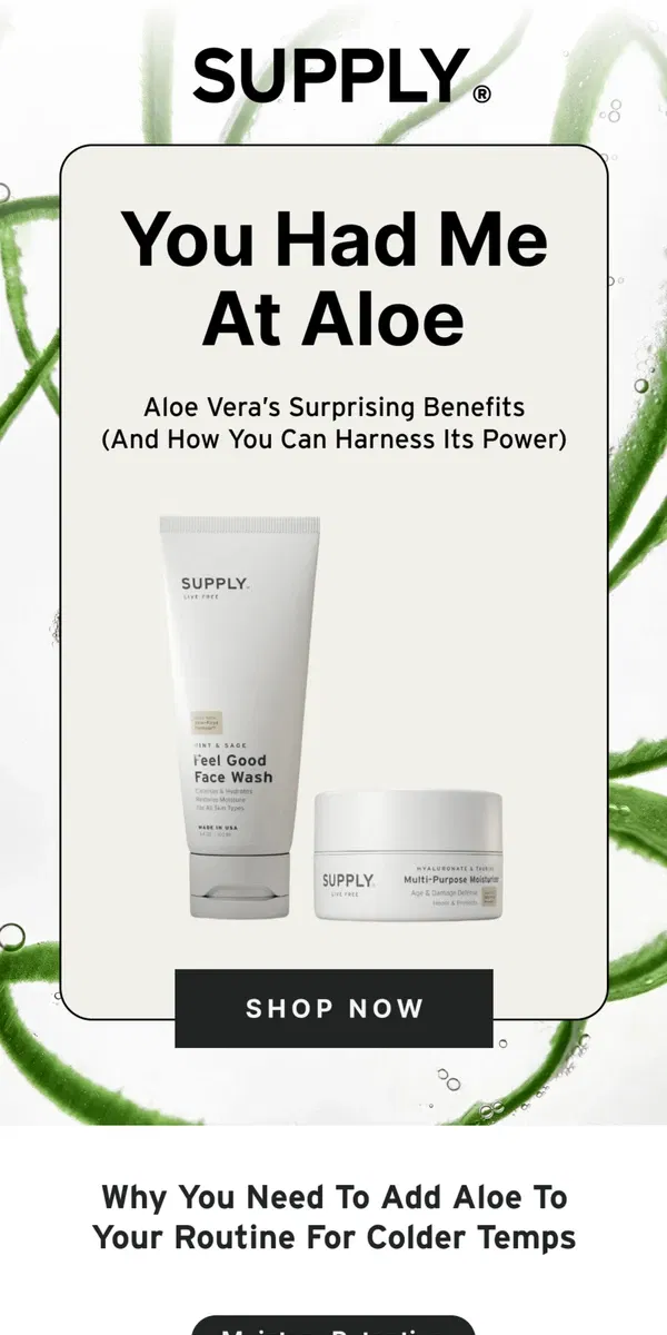 Email from Supply. Aloe? Is It Me You’re Looking For…