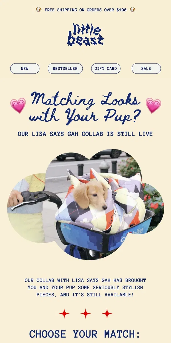 Email from Little Beast. Matching Looks with Your Pup? Yes, Please!