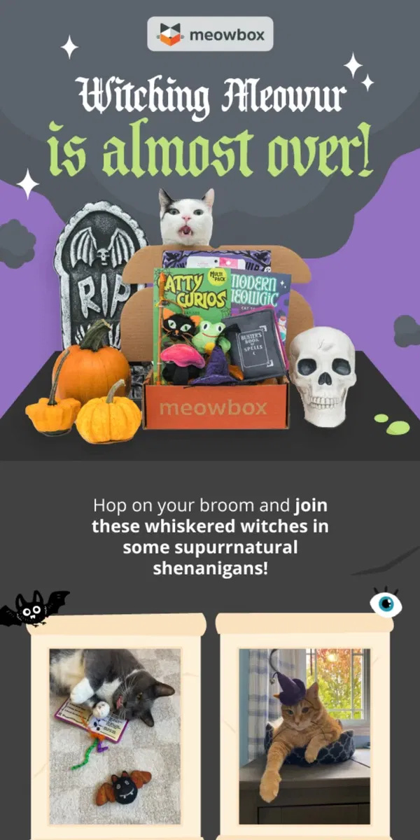 Email from meowbox. 🕰️ HURRY! WITCHING MEOWUR BOX ALMOST GONE!