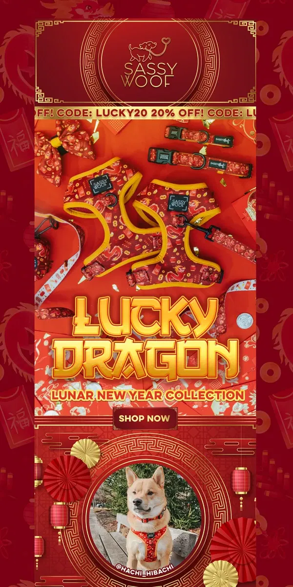 Email from Sassy Woof. 20% off Lucky Dragon Collection 🐉