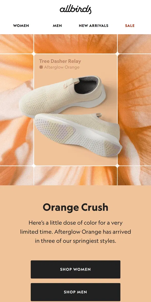 Email from Allbirds. Introducing Afterglow Orange