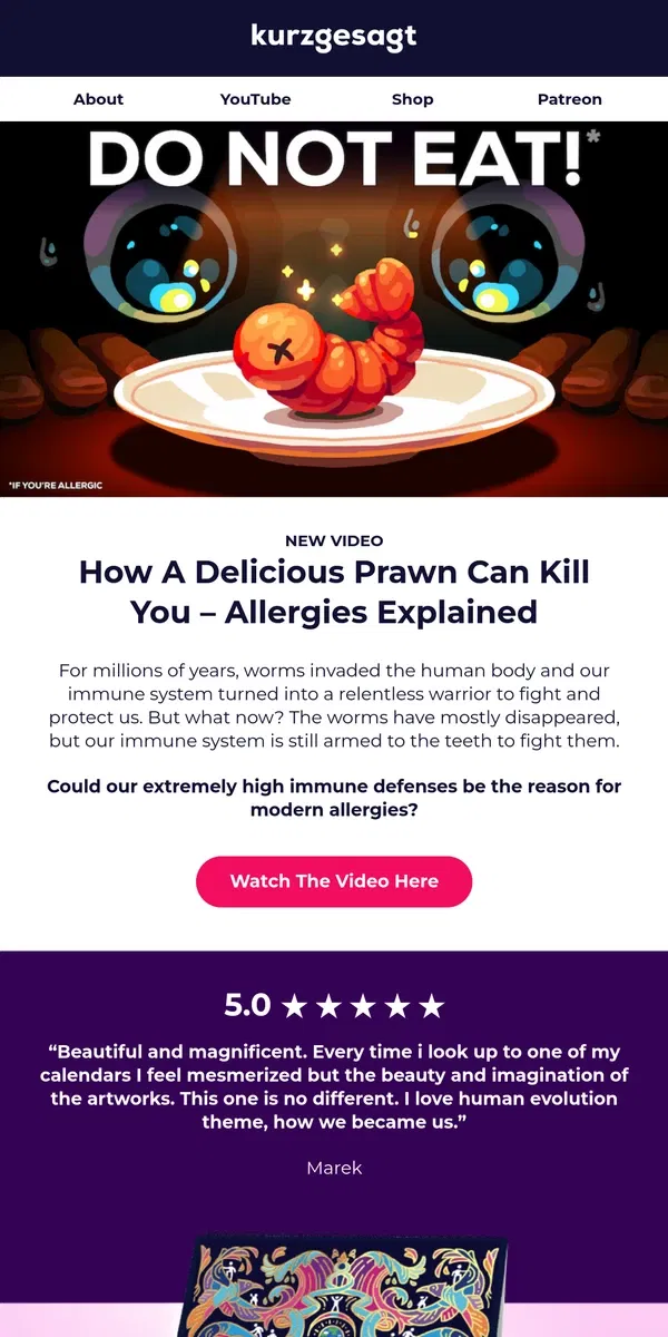 Email from Kurzgesagt. New Video: How A Delicious Prawn Can Kill You – Allergies Explained