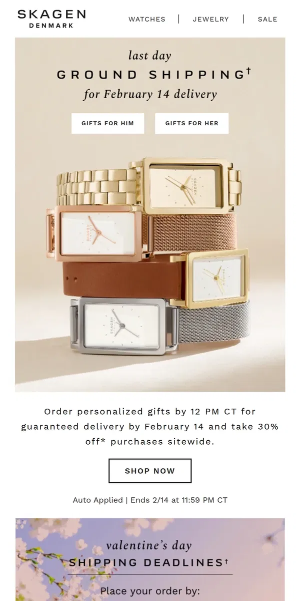 Email from Skagen. be on time, valentine.