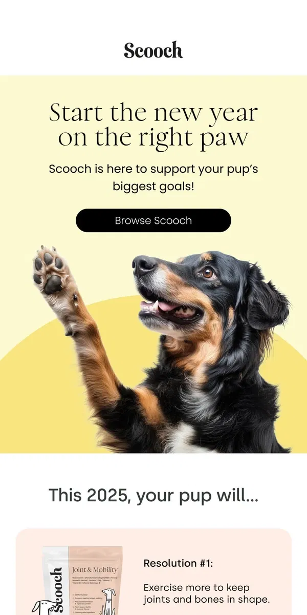 Email from Scooch. Your pup’s New Year Resolutions 🐾