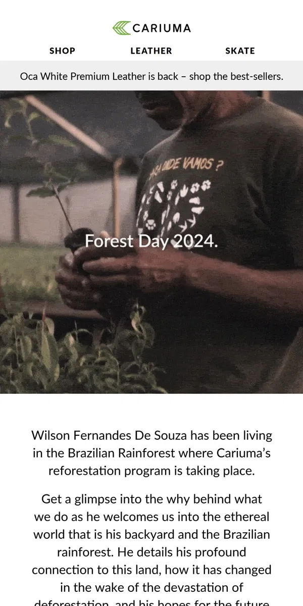 Email from Cariuma. Plant 10 For Forest Day