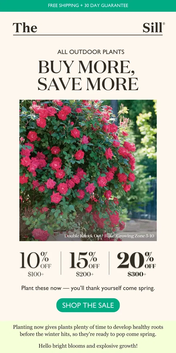 Email from The Sill. Fall is the perfect time to plant for bigger rewards come spring!