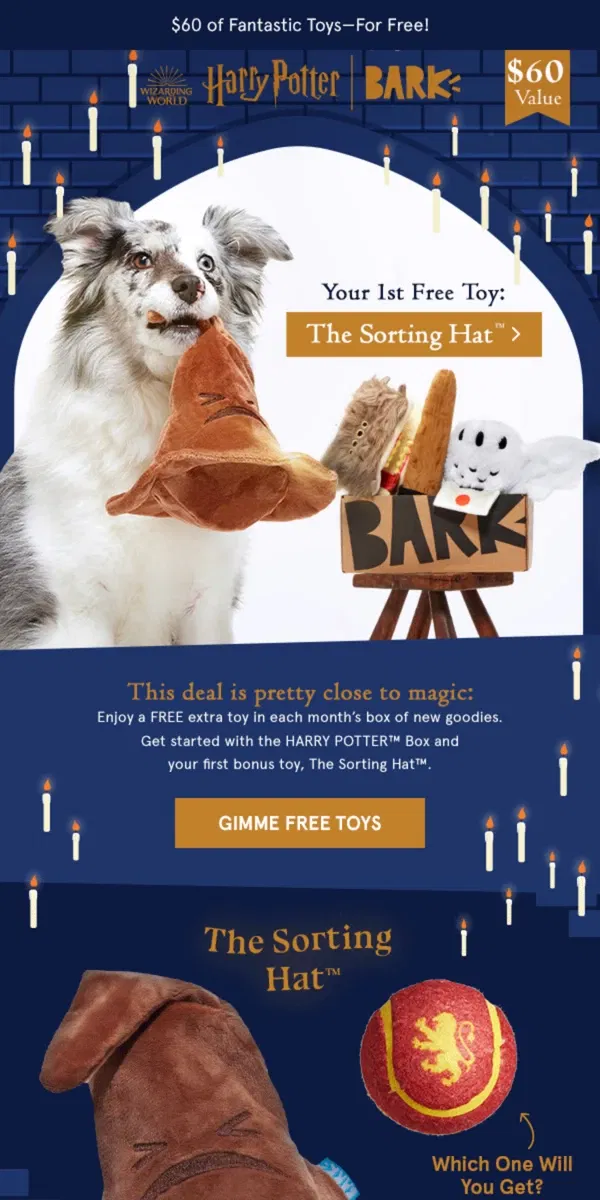 Email from BarkBox. Almost Gone: Your Pup’s HARRY POTTER™ Box + Free Toys!