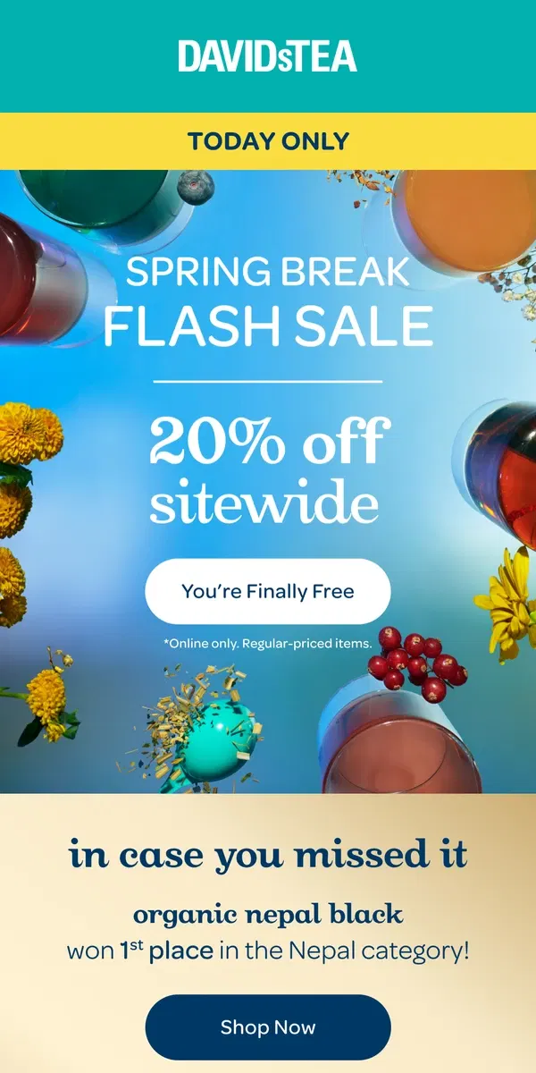 Email from DAVIDsTEA. 20% OFF Flash Sale 🎉