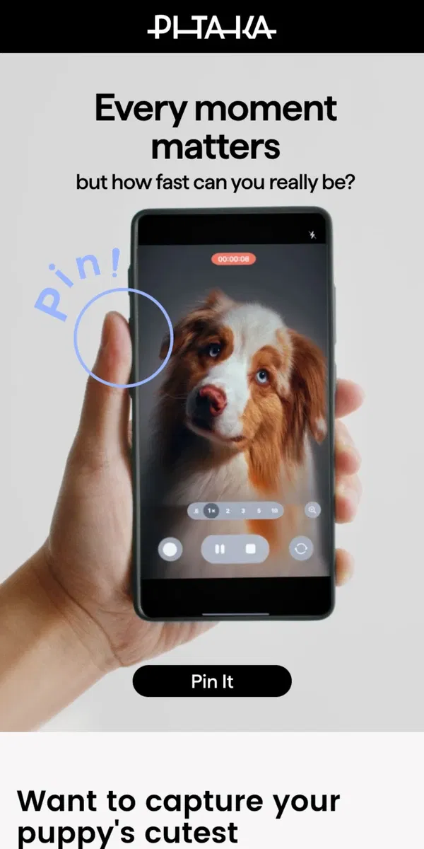 Email from PITAKA. Sick of Fumbling to Record? Your Phone Just Got a ‘Paws’ Button