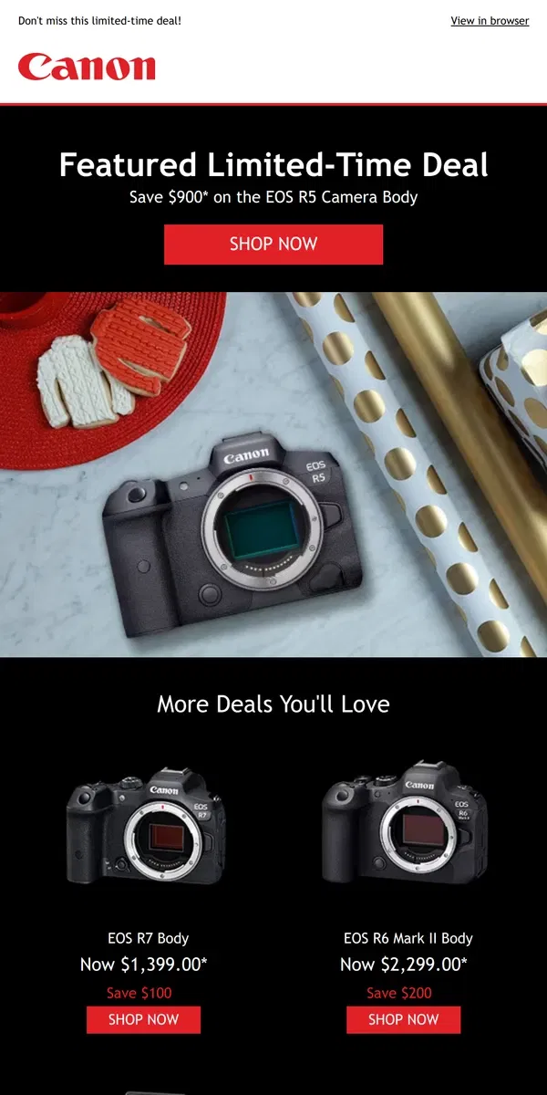 Email from Canon. Black Friday EXTENDED