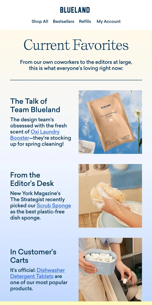 Email from Blueland. Currently loving: a hand-picked product roundup!