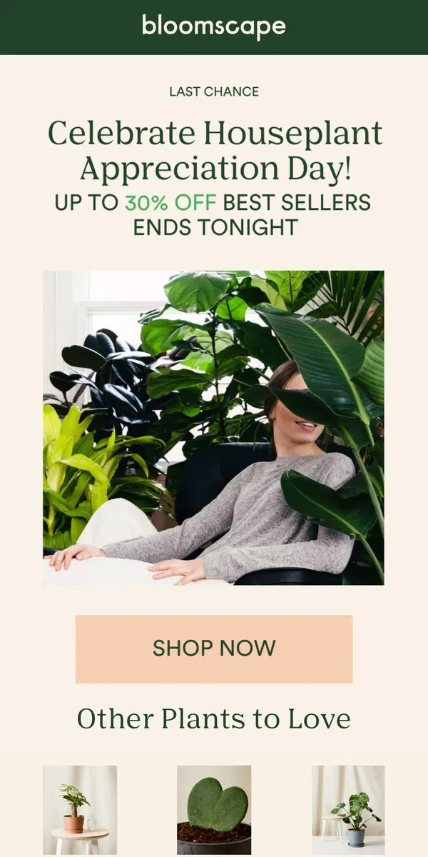 Email from Bloomscape. Celebrate Houseplant Appreciation Day all weekend long