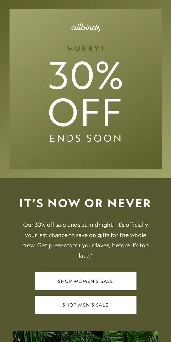 Email from Allbirds. Final Hours! 30% Off Gifts Galore 🎁