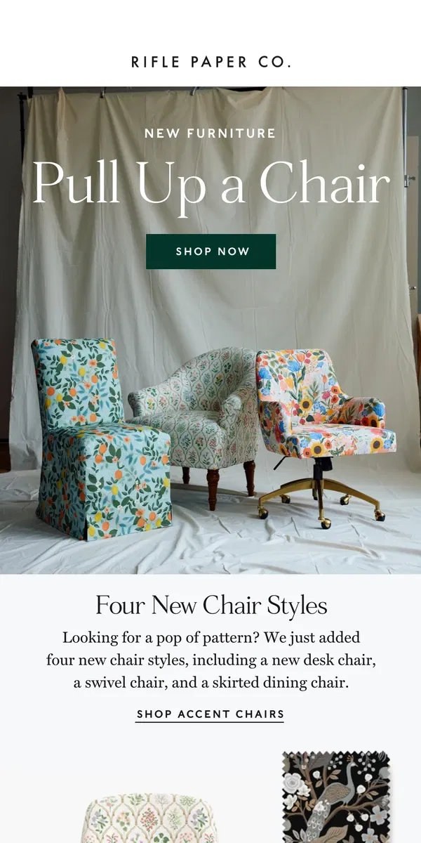 Email from Rifle Paper Co.. 4 New Accent Chairs. 5 New Patterns. 💐