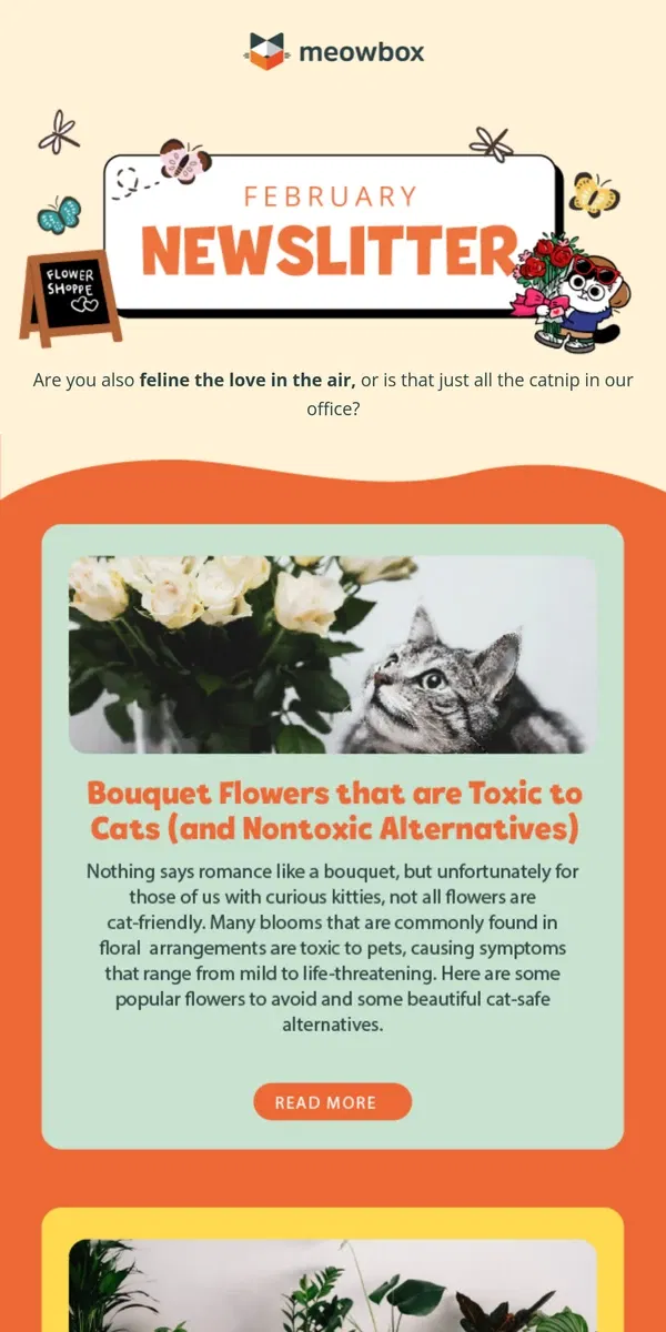 Email from meowbox. Cat vs. Flowers: Who Wins?