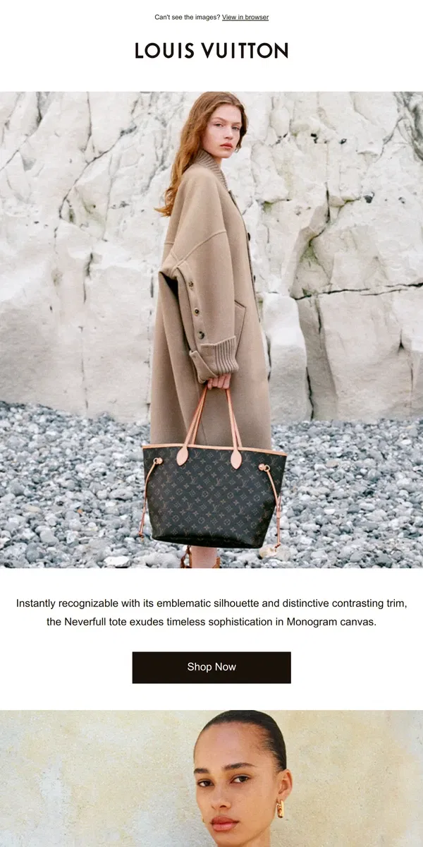 Email from Louis Vuitton. Neverfull Bag: A Modern Icon