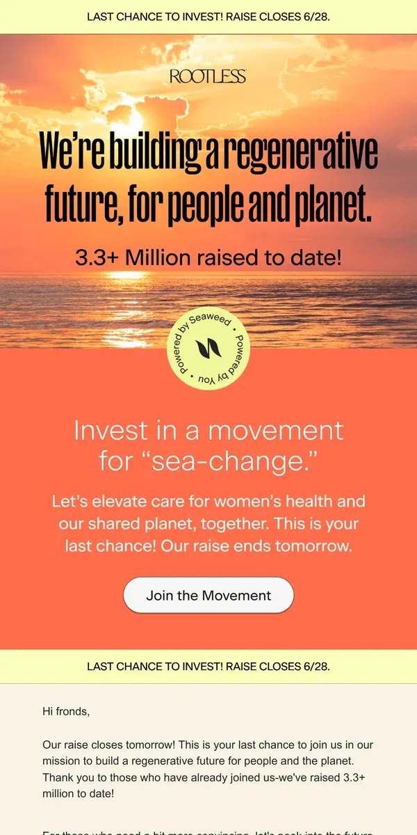 Email from Rootless. Last chance to invest in a regenerative future ☀️