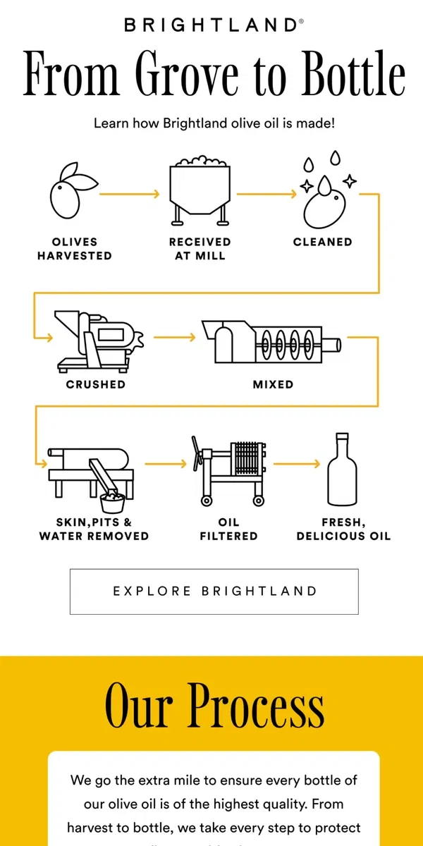 Email from Brightland. How Our Olive Oil is Made 🫒