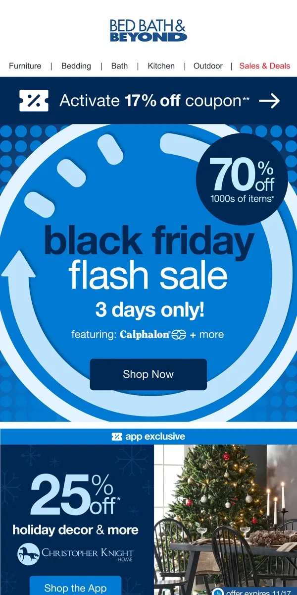 Email from Bed Bath & Beyond. Black Friday Flash Sale--3 Days Only!