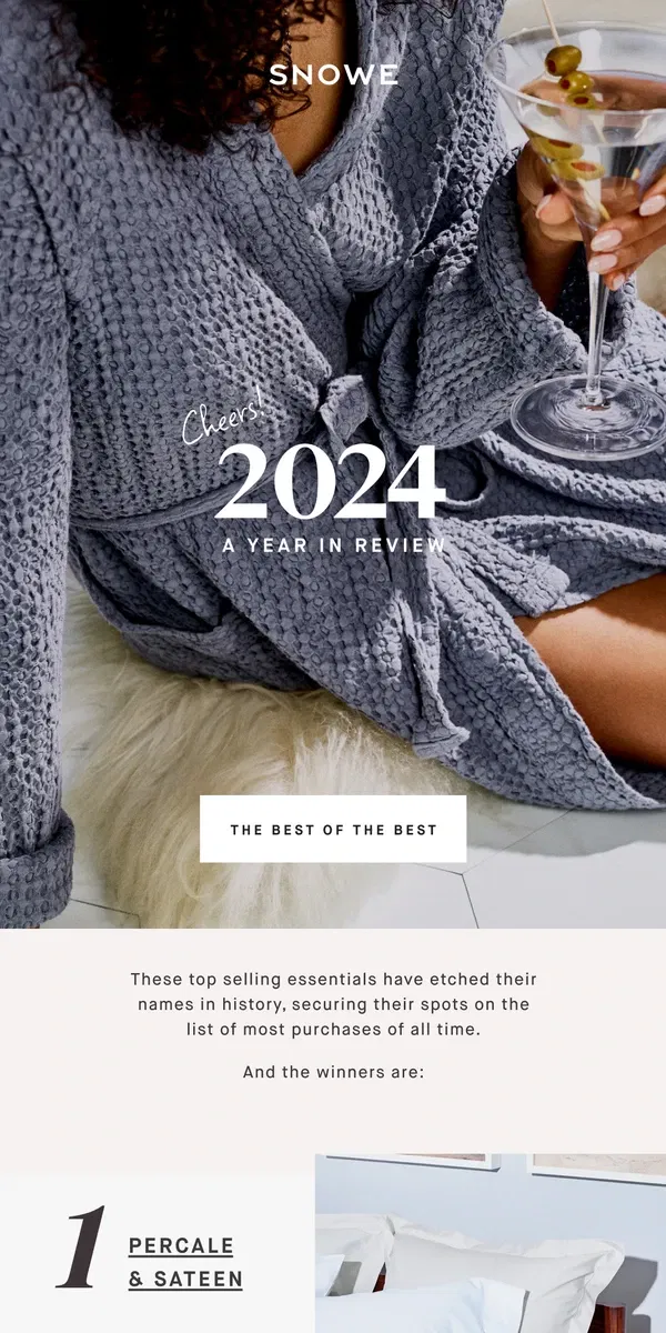 Email from Snowe. 2024 a year in review