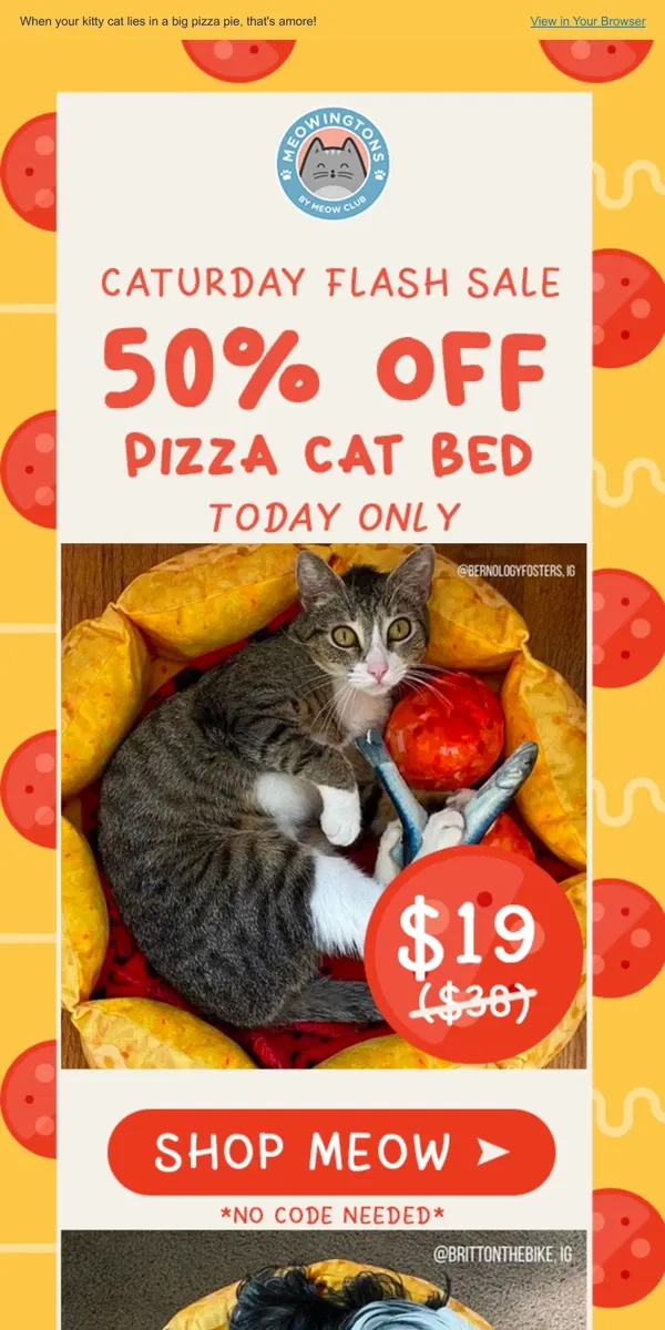 Email from Meowingtons. Caturday FLASH SALE 😻