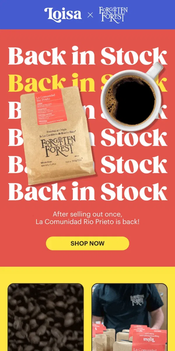 Email from Loisa. ☕️ 🙌 BACK IN STOCK: Single-Origin Puerto Rican Coffee