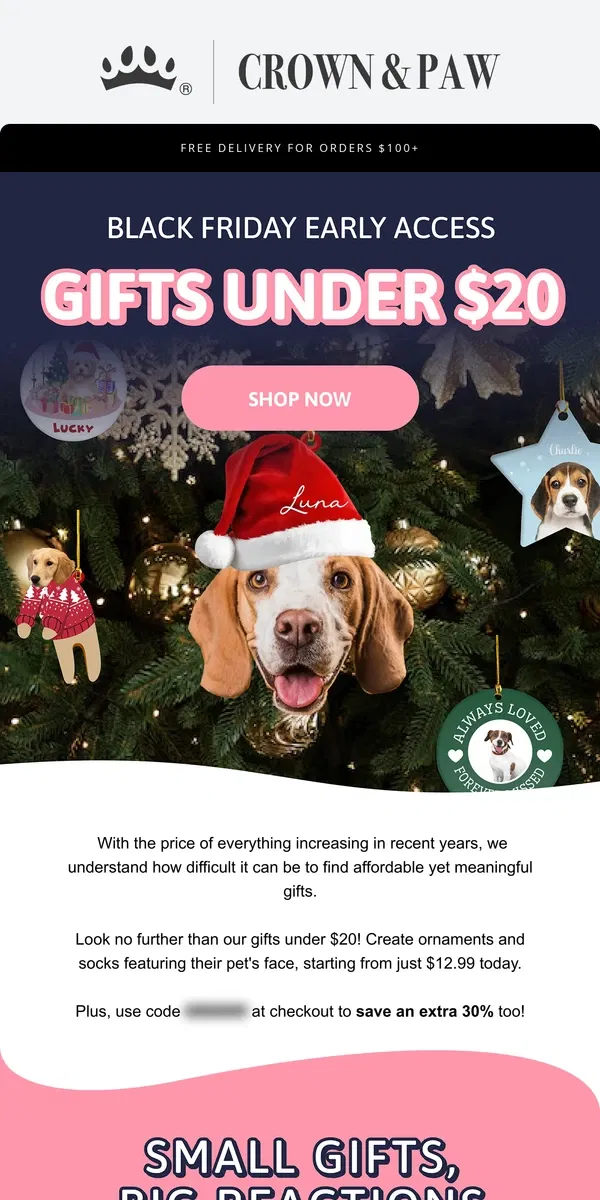 Email from Crown & Paw. Personalized Gifts Under $20 🎁