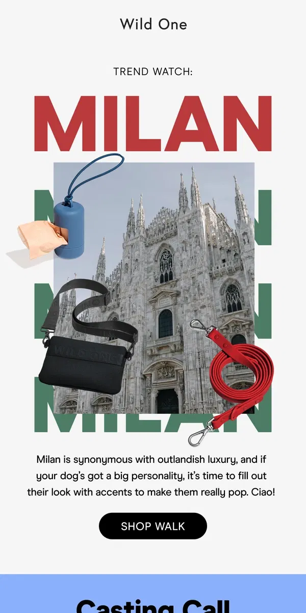 Email from Wild One. Fashion Week: Milan Edition 🇮🇹