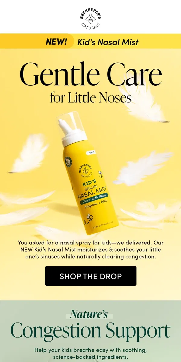 Email from Beekeeper's Naturals. Meet Our NEW Kid’s Nasal Mist ✨