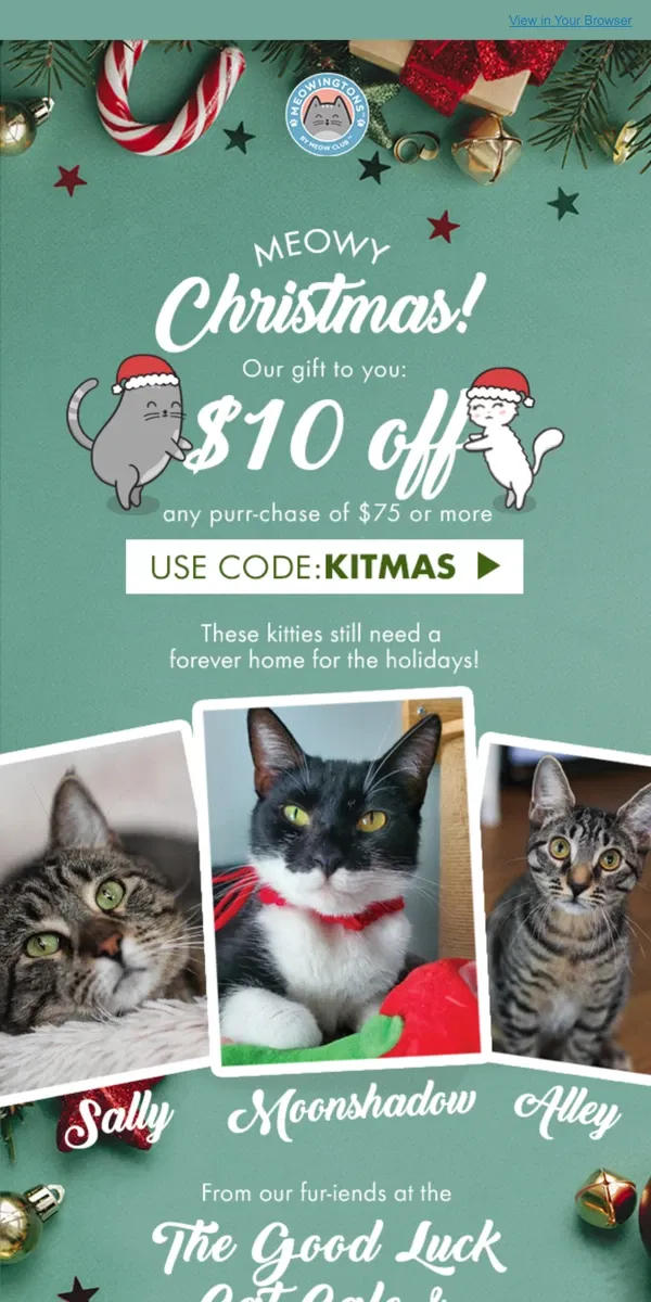 Email from Meowingtons. Your Christmas Present Is Waiting! 🎁