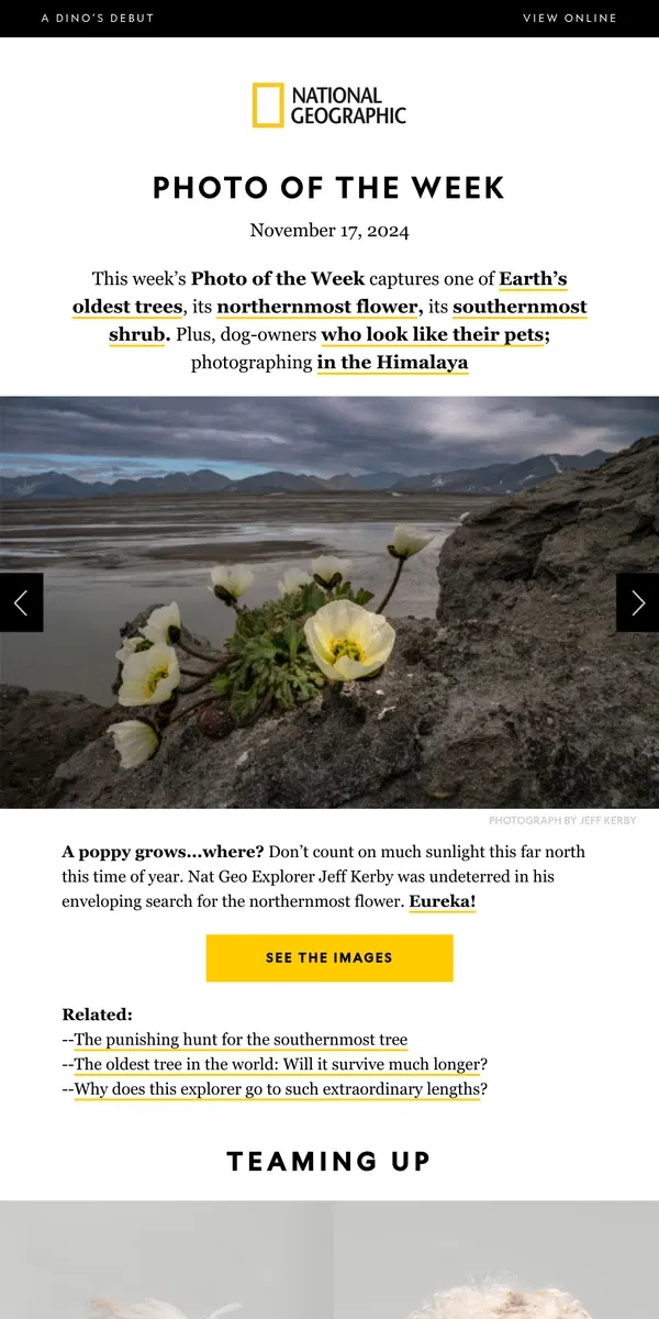 Email from National Geographic. PHOTO OF THE WEEK: Finding the northernmost flower, the southernmost tree