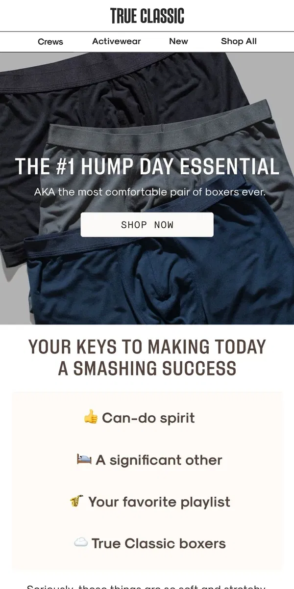 Email from True Classic. It's Hump Day! So buy some boxers.