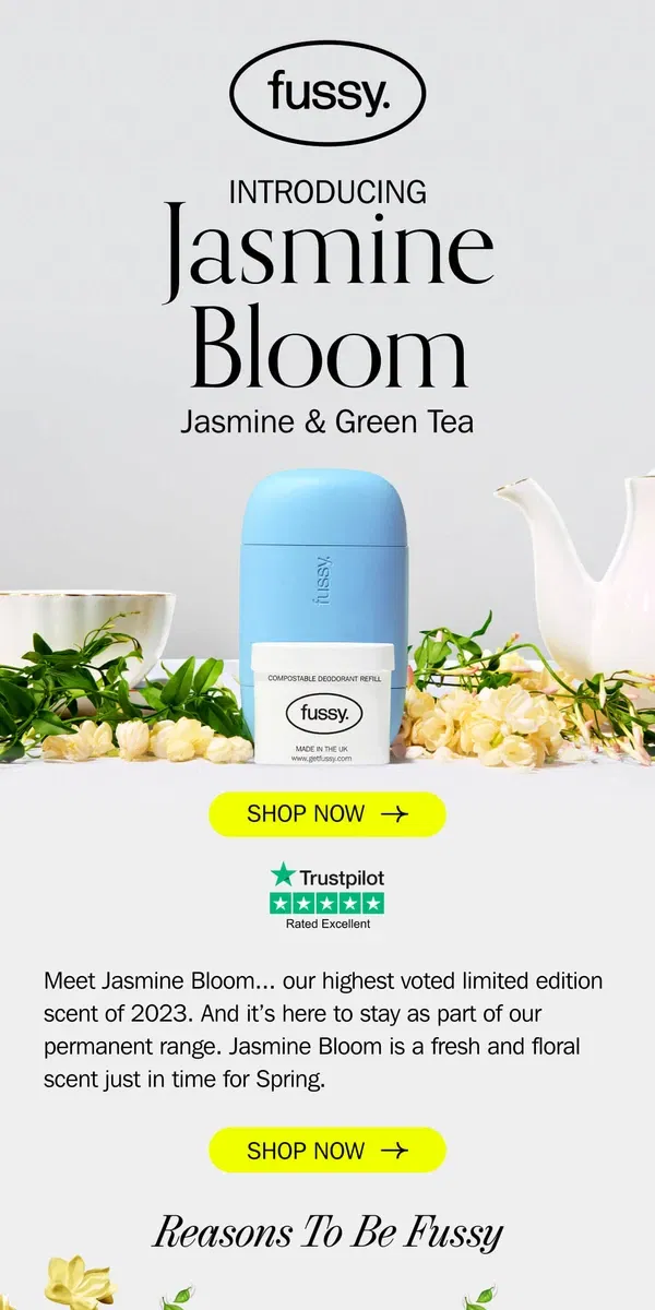 Email from Fussy. Introducing Jasmine Bloom 🍃🌸