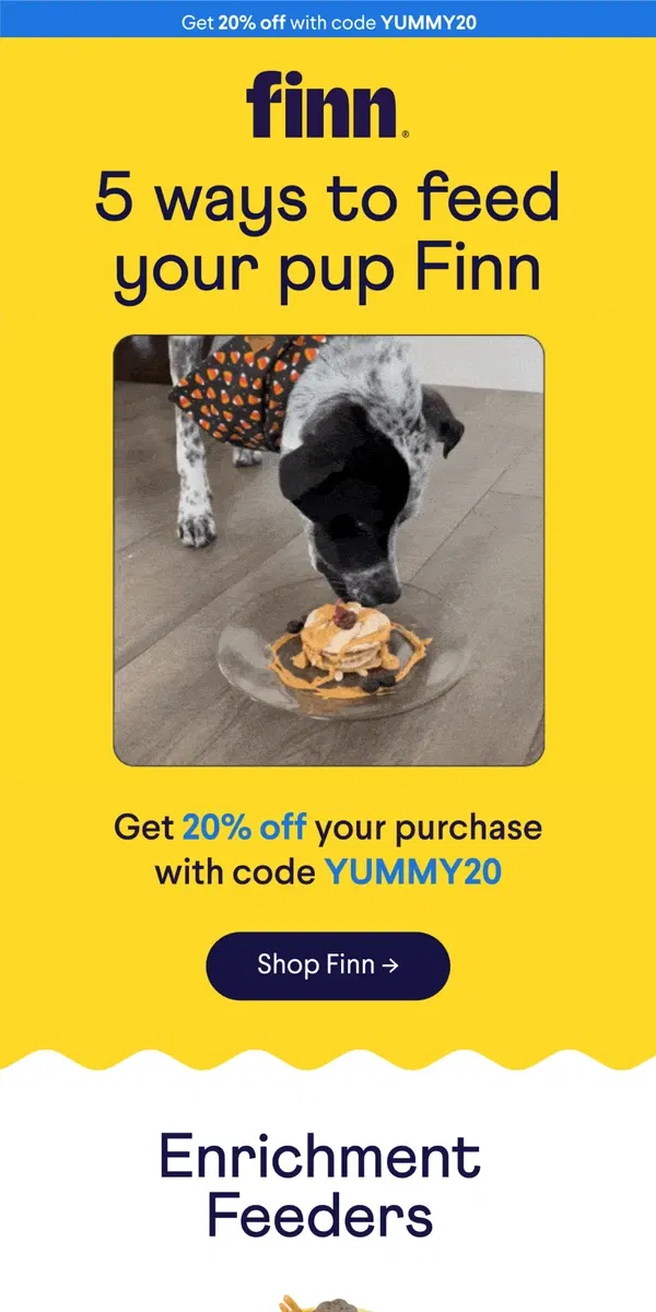 Email from Finn. Eat, Play, Love: 5 Ways to Feed  + Get 20% Off!