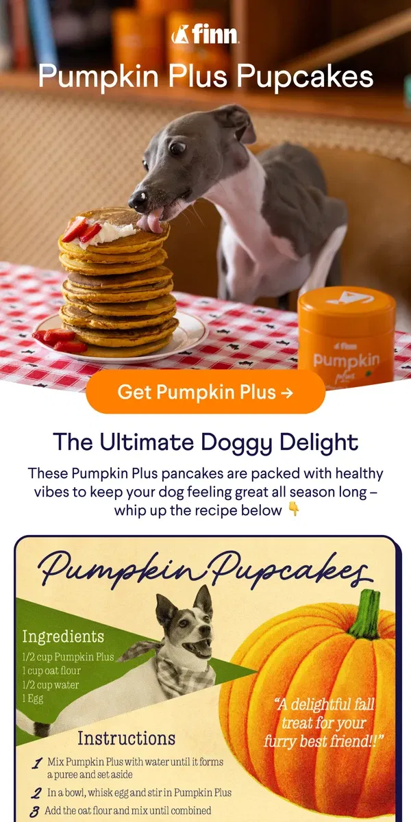 Email from Finn. Your Dog Called... They Want Pumpkin Pancakes. Now.