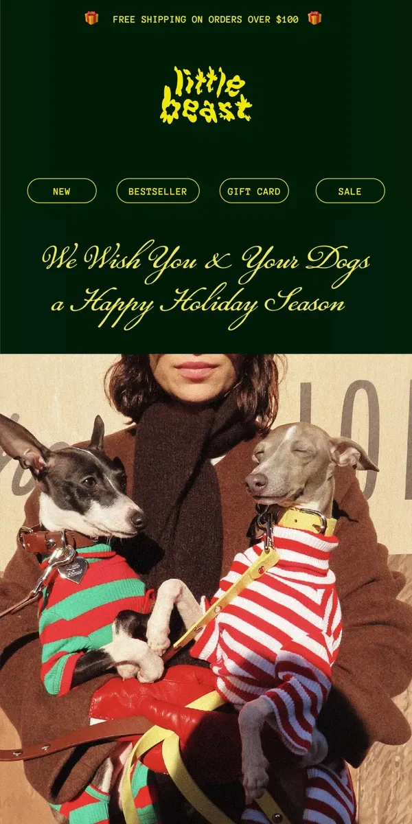 Email from Little Beast. Last Chance for Holiday Vibes for Your Dog