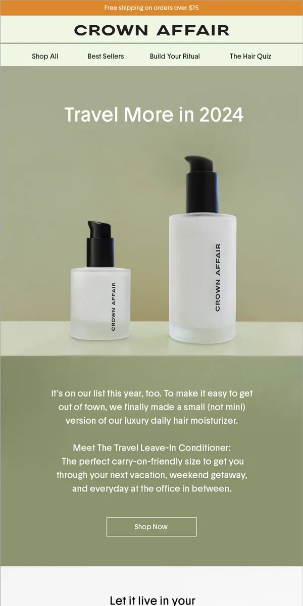 Email from Crowns Affair. New: The Travel-Size Leave-In