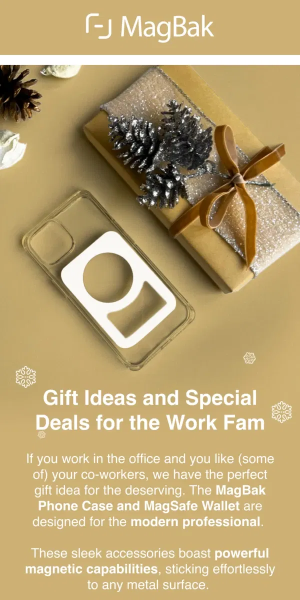 Email from MagBak. Elevate Your Corporate Gifting